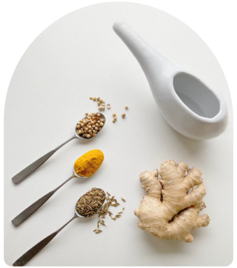 ayurveda netipot, spices and ginger root