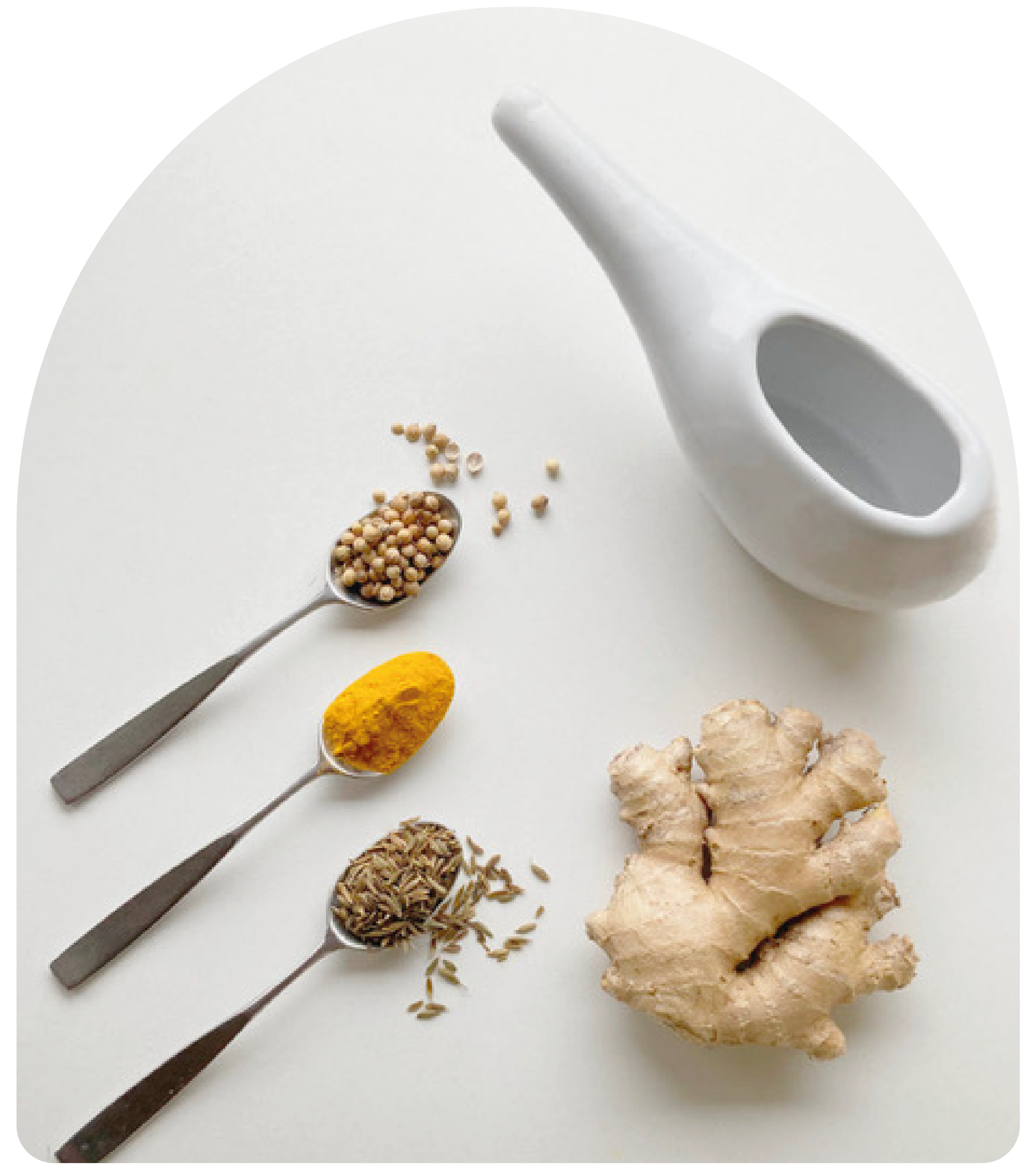 ayurveda netipot, spices and ginger root