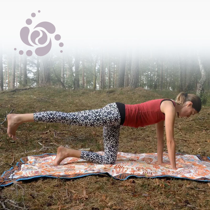 rianne on hands and knees with extended leg yoga