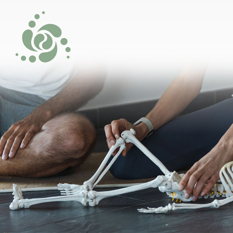 rianne die een client therapeutische yoga beweging uitlegd met behulp van een skelet