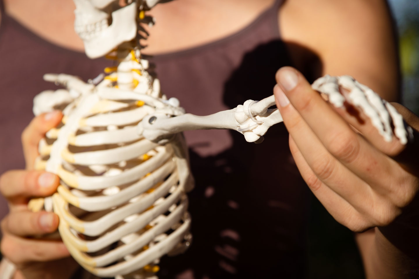 reaching the arm of a skeleton out to show pure movement in yoga therapy